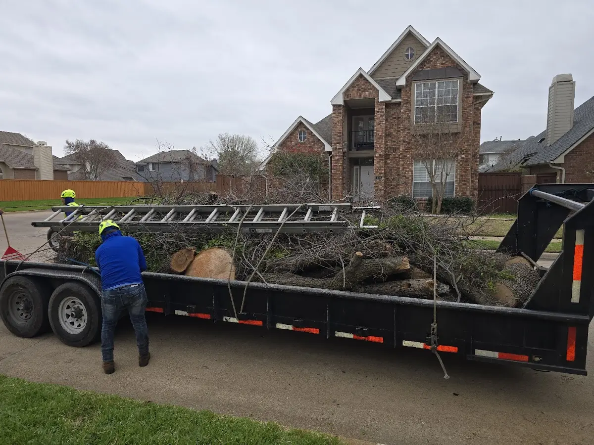 Expert Tree Fertilization with proper safety equipment in Ellenboro